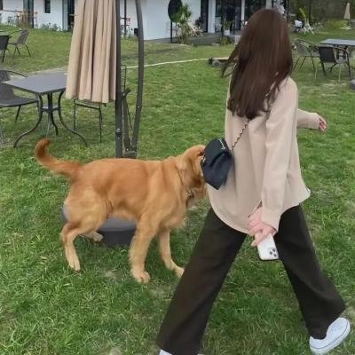 青春不悔